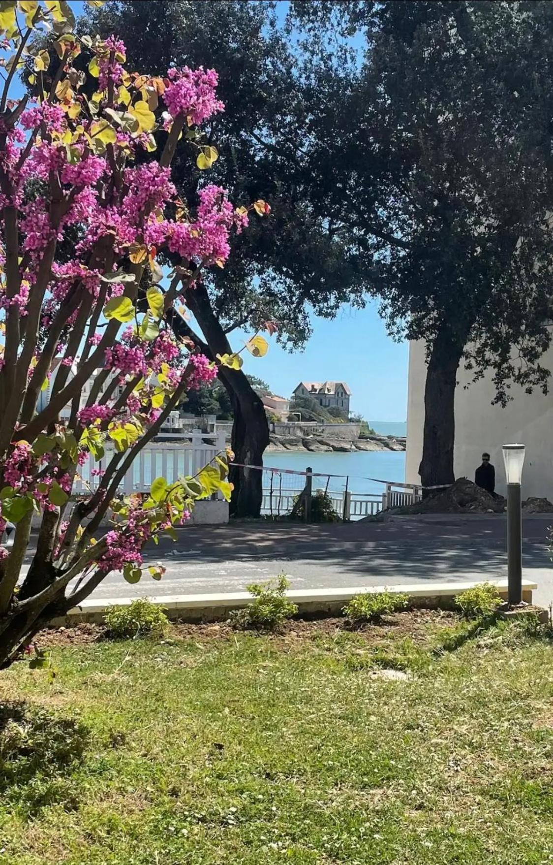 Appartement La Plagiste à Saint-Palais-sur-Mer Extérieur photo